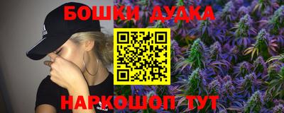 стаф Пенза