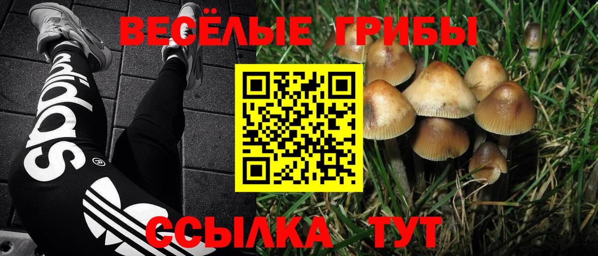 Галлюциногенные грибы ЛСД  купить наркоту  Вход с VPN  Сатка  Галлюциногенные грибы MAGIC MUSHROOMS 